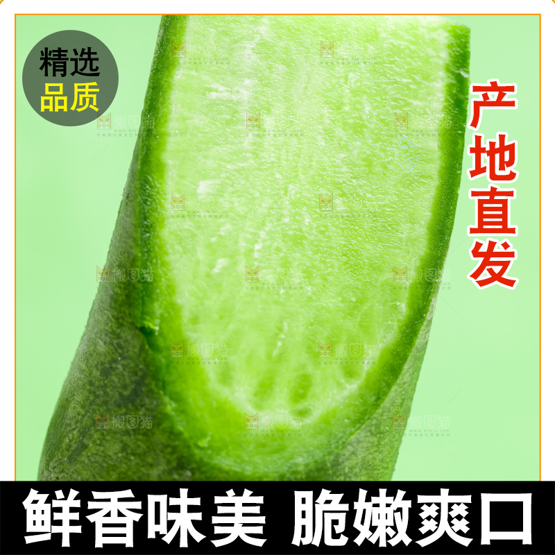 手上拿着斜切的绿萝卜