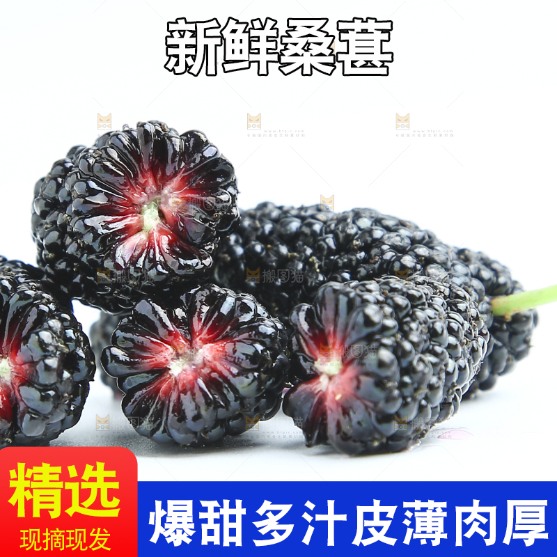白底上放着桑葚