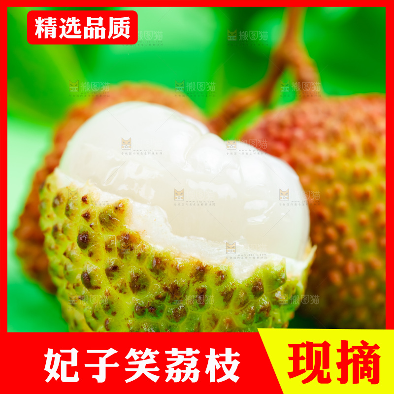 绿底上放着荔枝