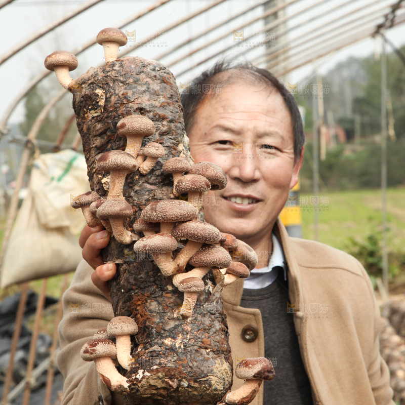 手里拿着香菇