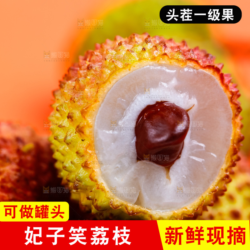 海南妃子笑特写