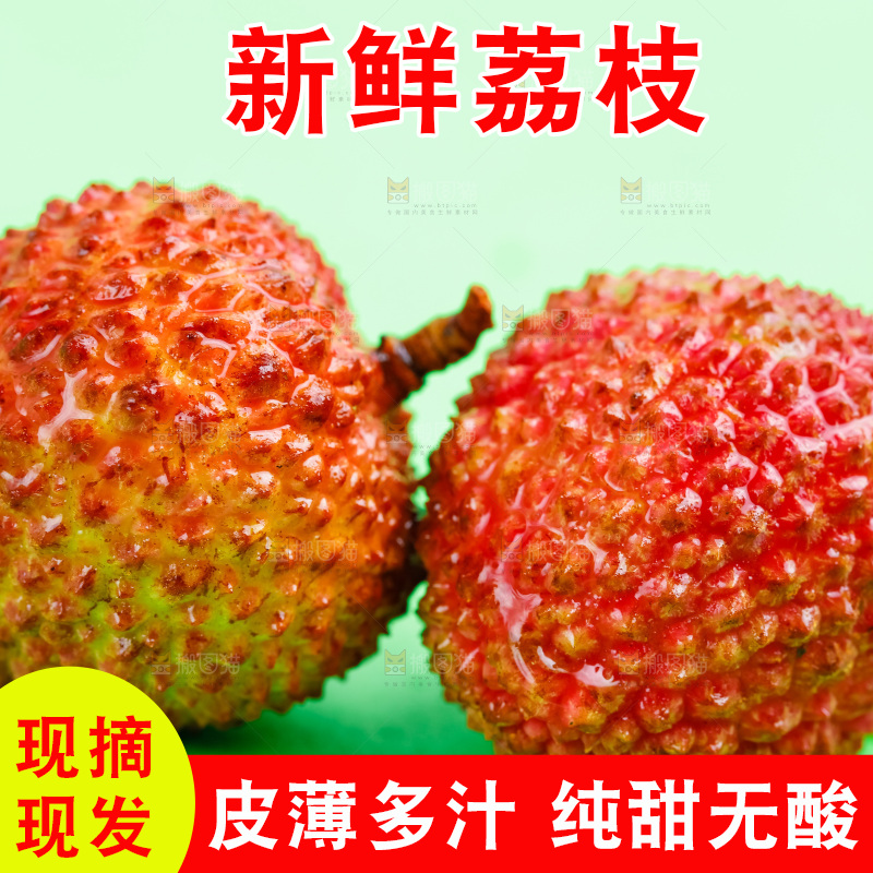 绿底上放着妃子笑荔枝