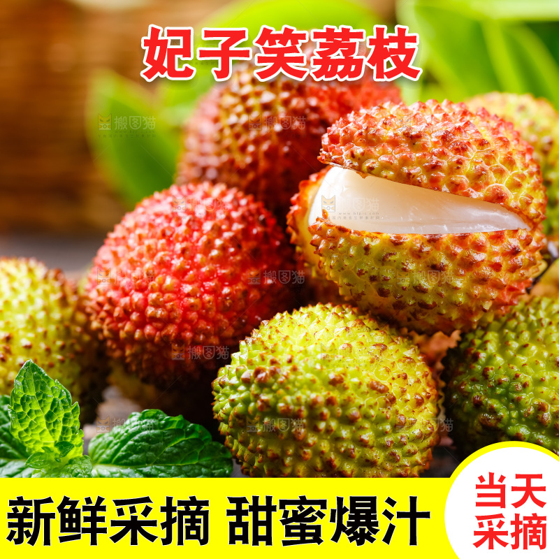 木底上的海南妃子笑