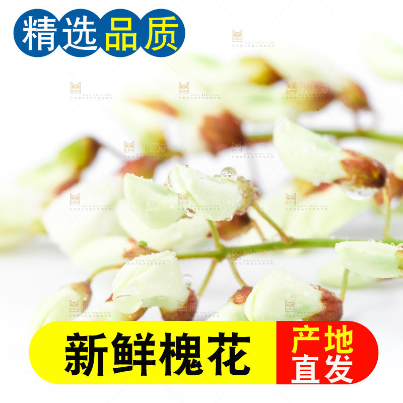 白底上摆放着洋槐花