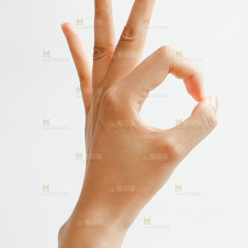 手的姿势