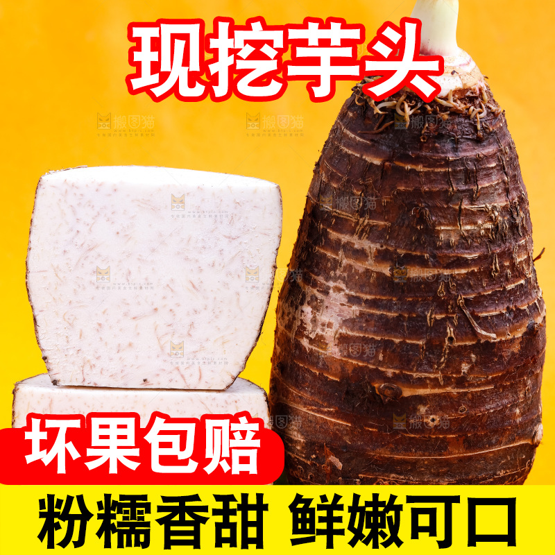黄底上放着广西荔浦芋头