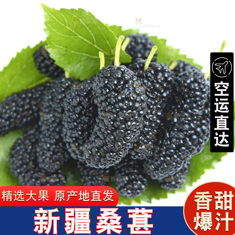 白底上的绿叶上放着一堆桑葚