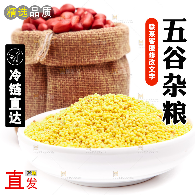白底上的五谷杂粮组合