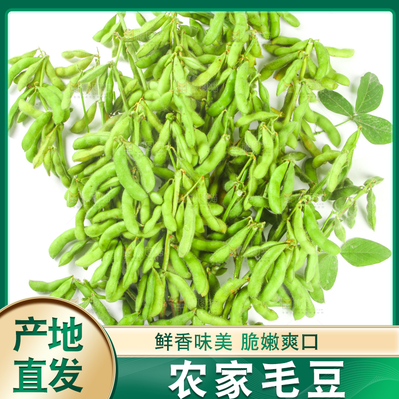 白底上的毛豆