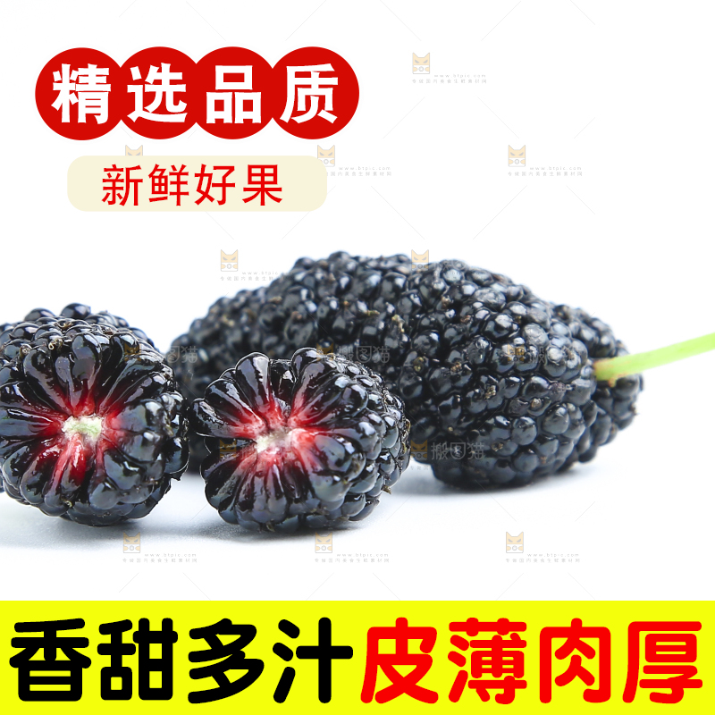 白底上放着三颗桑葚