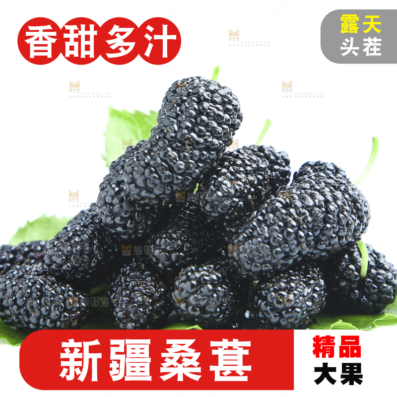 白底上的绿叶上放着一堆桑葚