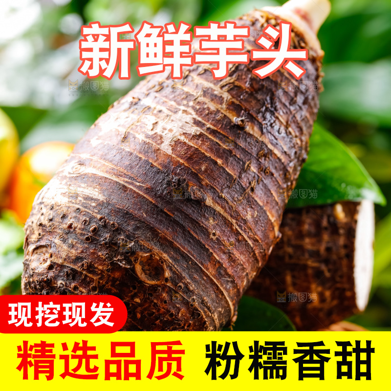 竹篮上放着广西荔浦芋头