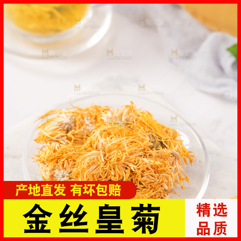 白底上放着一盘金丝皇菊