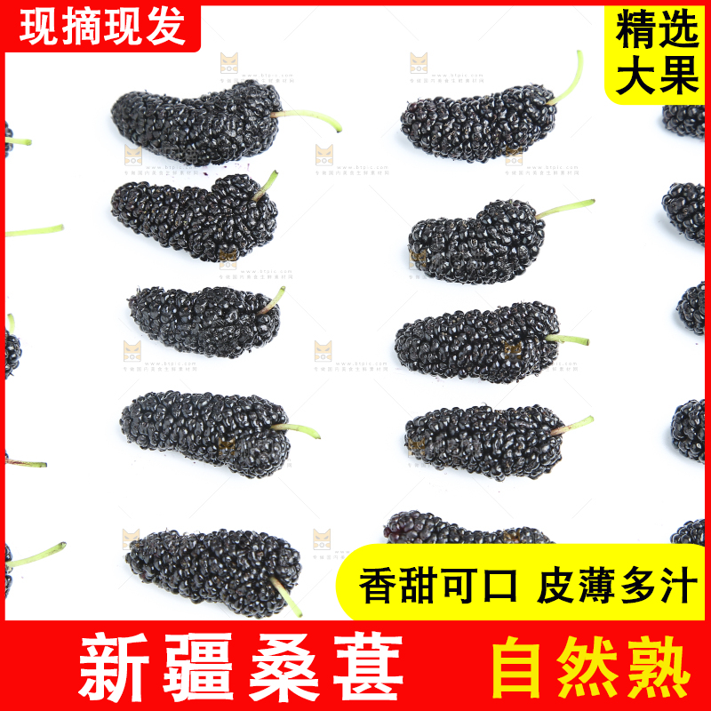 白底上摆列整齐的桑葚