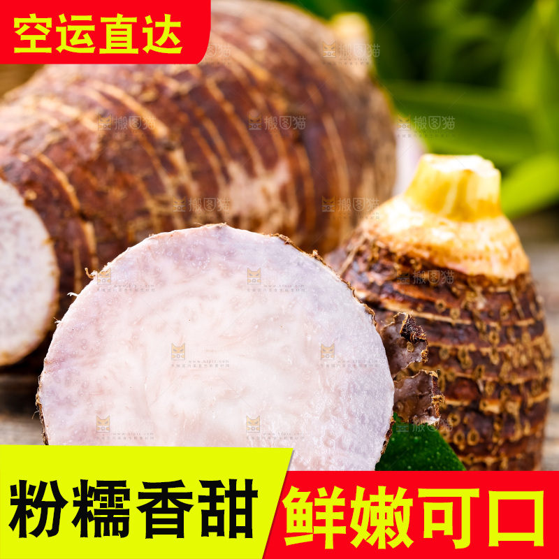 木底上放着紫藤毛芋