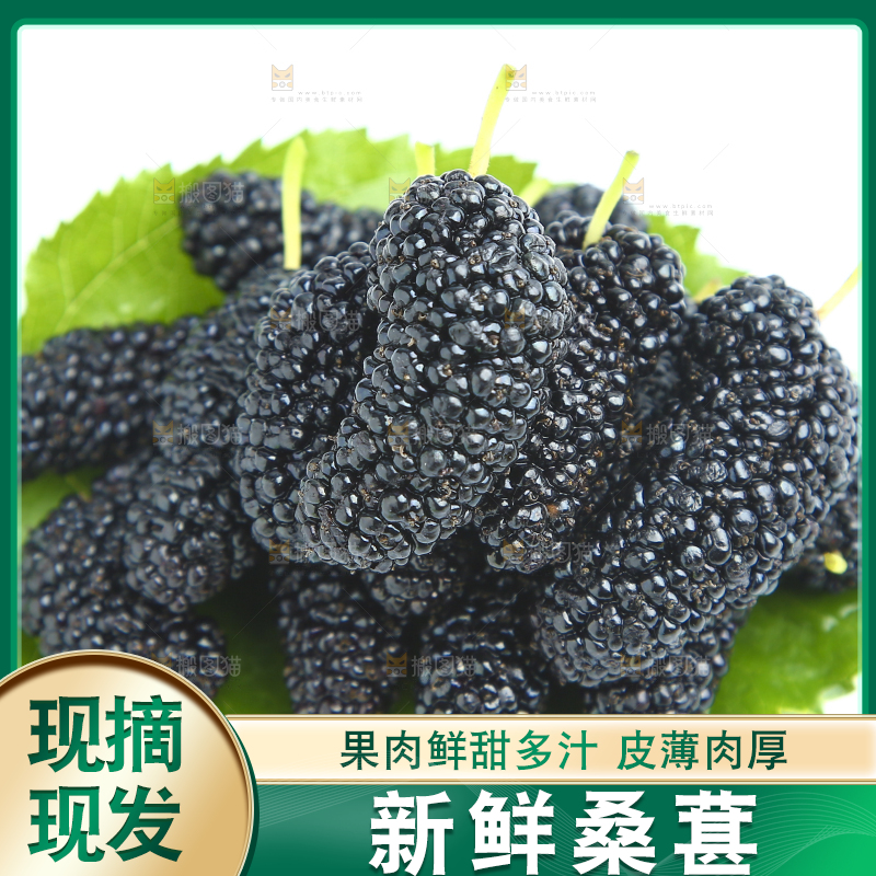 白底上的绿叶上放着一堆桑葚