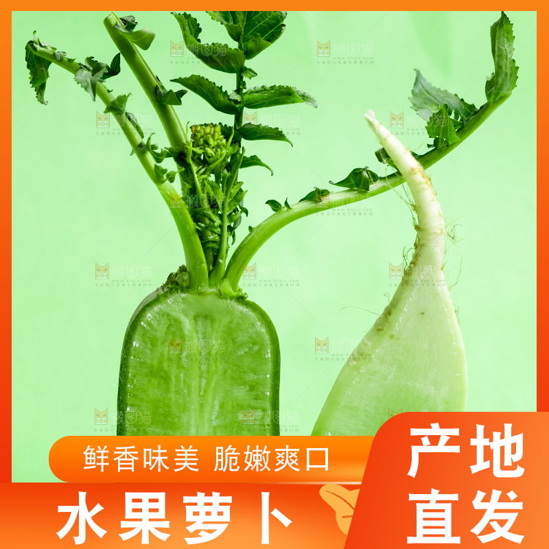 绿底上放着绿萝卜