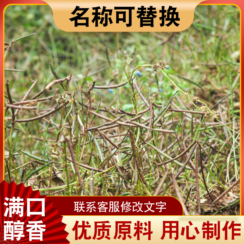 户外的野生绿豆