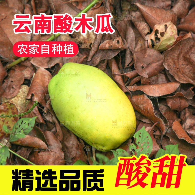 地上落着酸木瓜