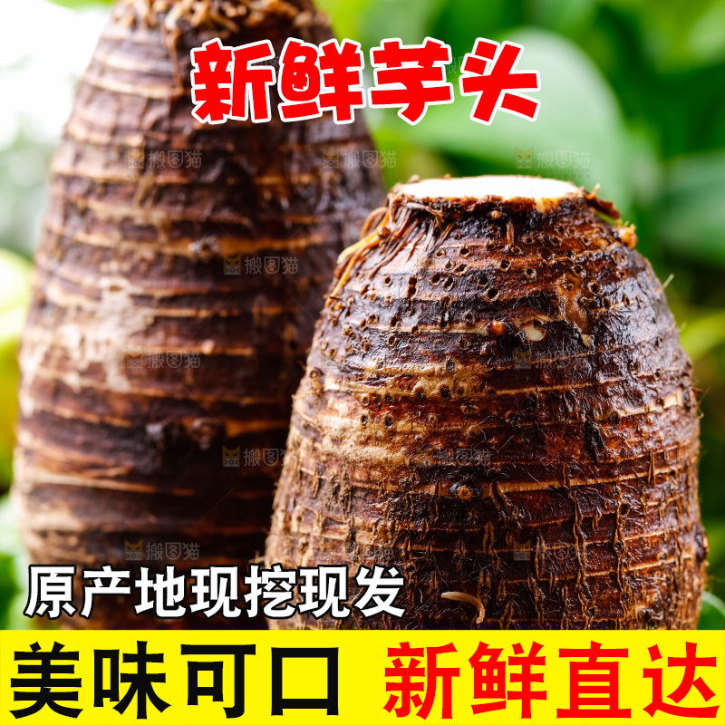 竹篮上放着广西荔浦芋头
