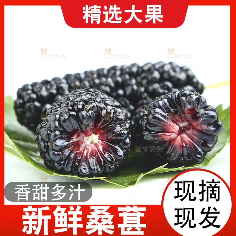 白底上的绿叶上放着三颗桑葚