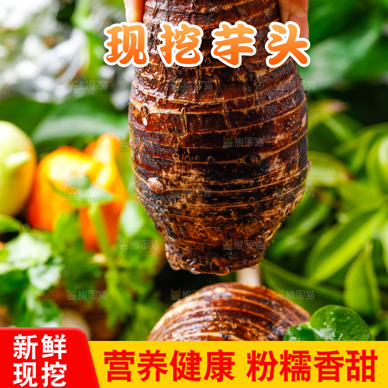 手上拿着槟榔芋