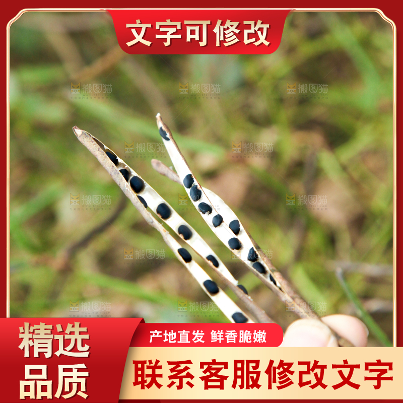 手里拿着绿豆