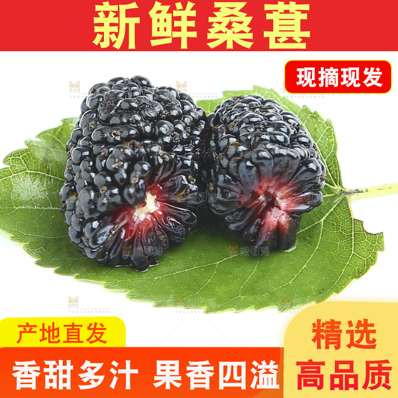 白底上的绿叶上放着两颗桑葚