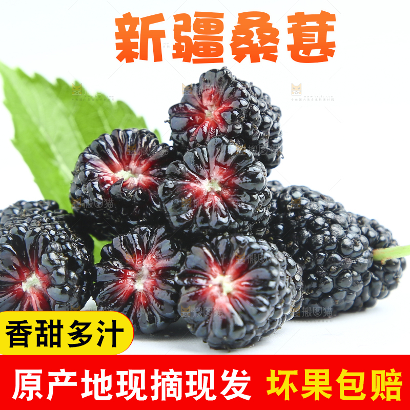 白底上放着一堆桑葚
