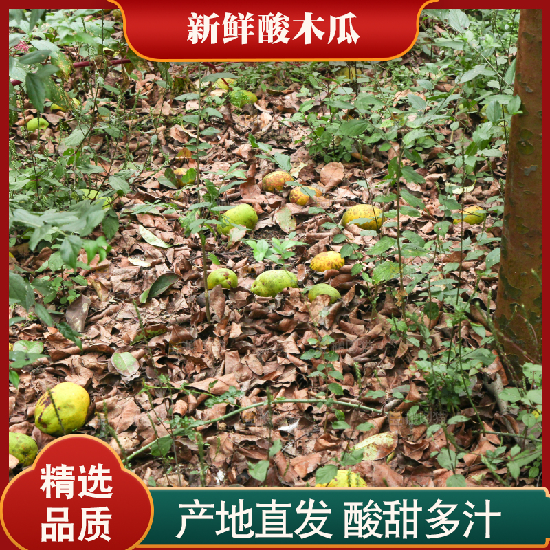 地上落着酸木瓜