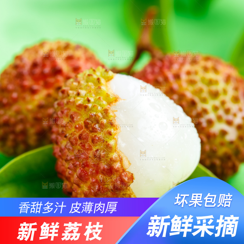 绿底上放着海南妃子笑