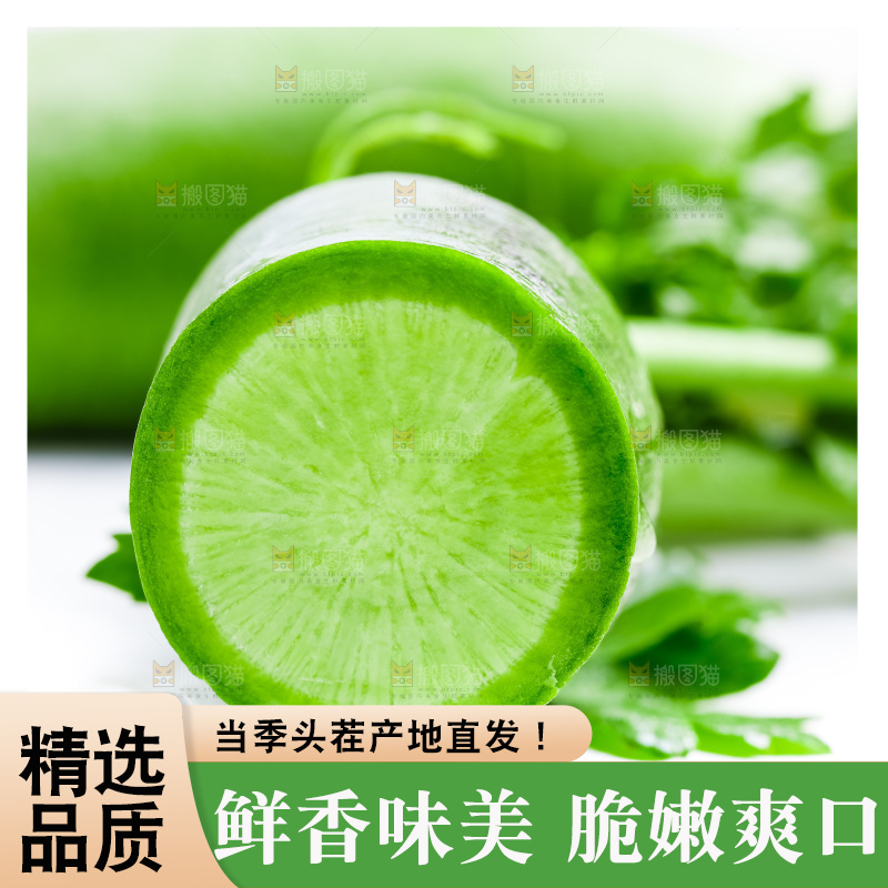 白底上放着青萝卜