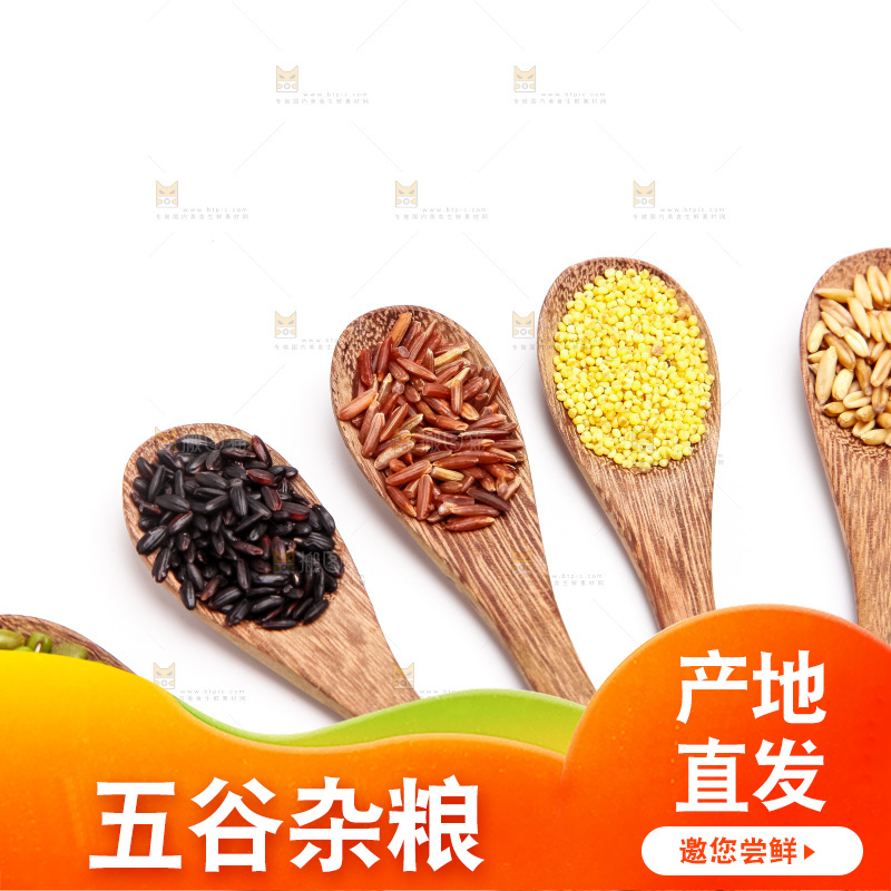 白底上勺子里的五谷杂粮