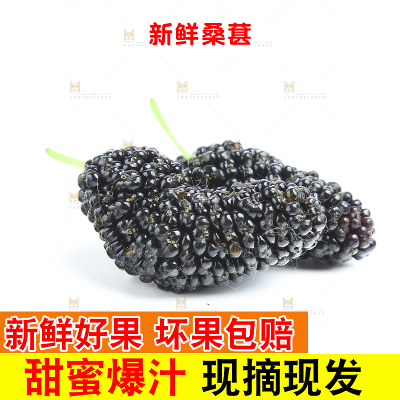 白底上放着两颗桑葚