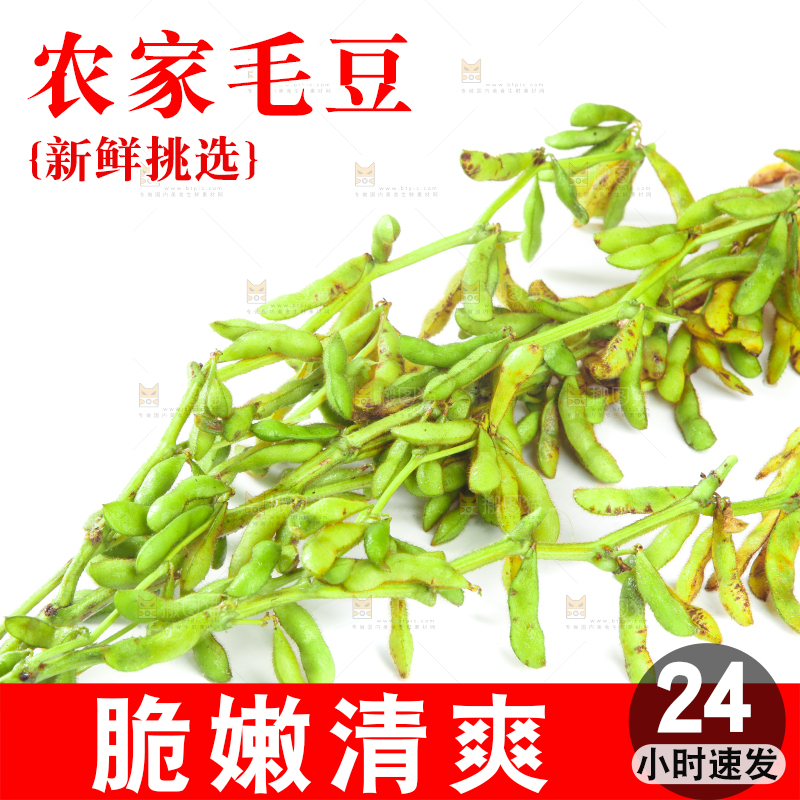 白底上的毛豆