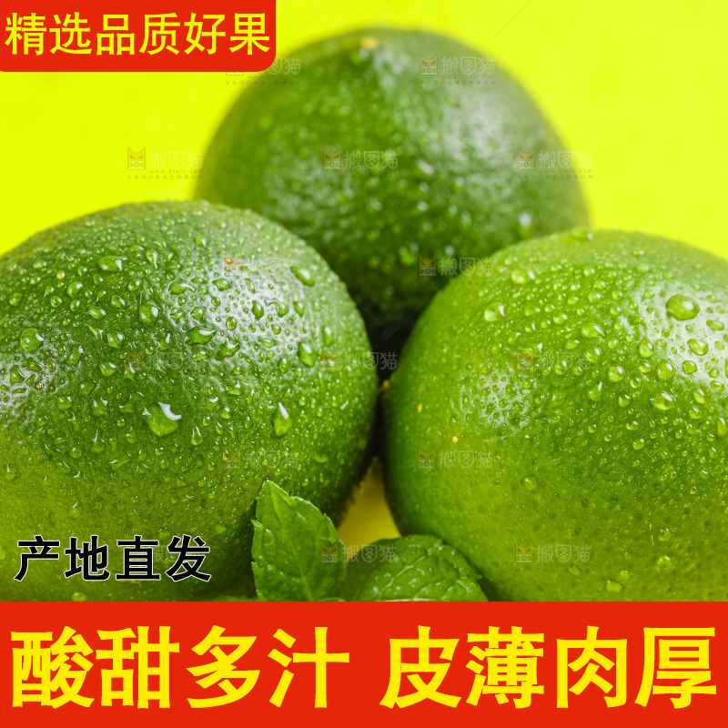 黄底上放着三个新鲜青柠檬