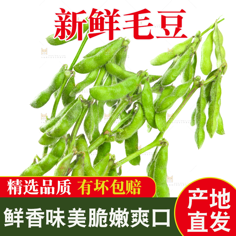 白底上的毛豆