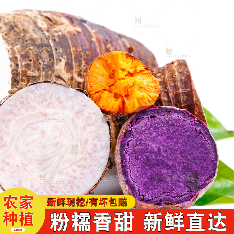 白底上放着荔浦芋头和地瓜