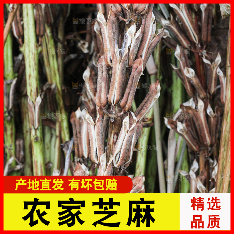 深底上的芝麻杆