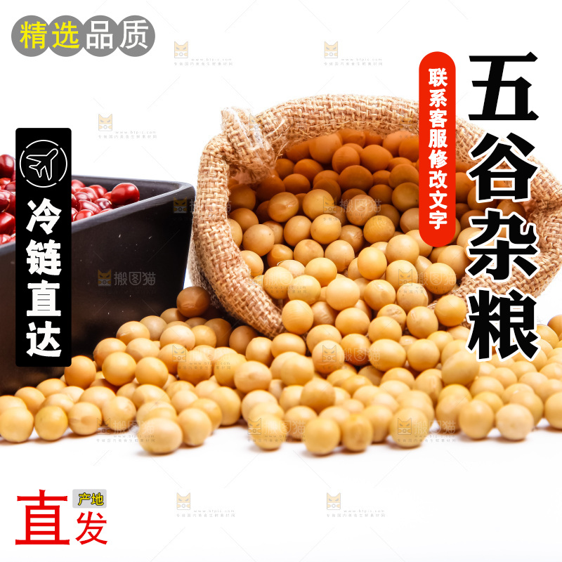 白底上撒出来的黄豆