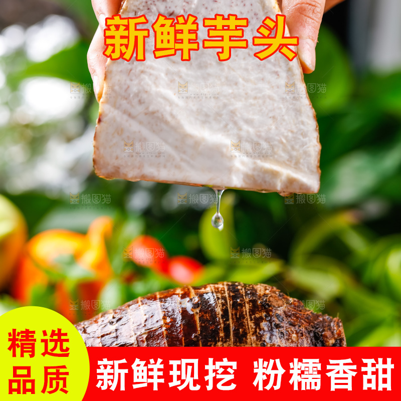 手上拿着槟榔芋切块