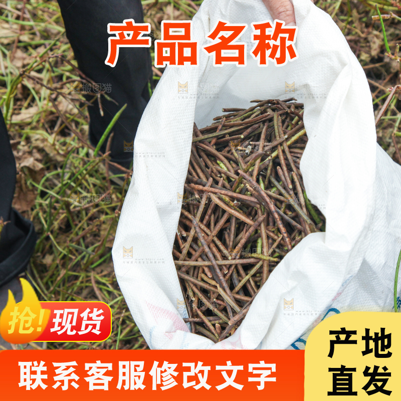 农民正在摘绿豆