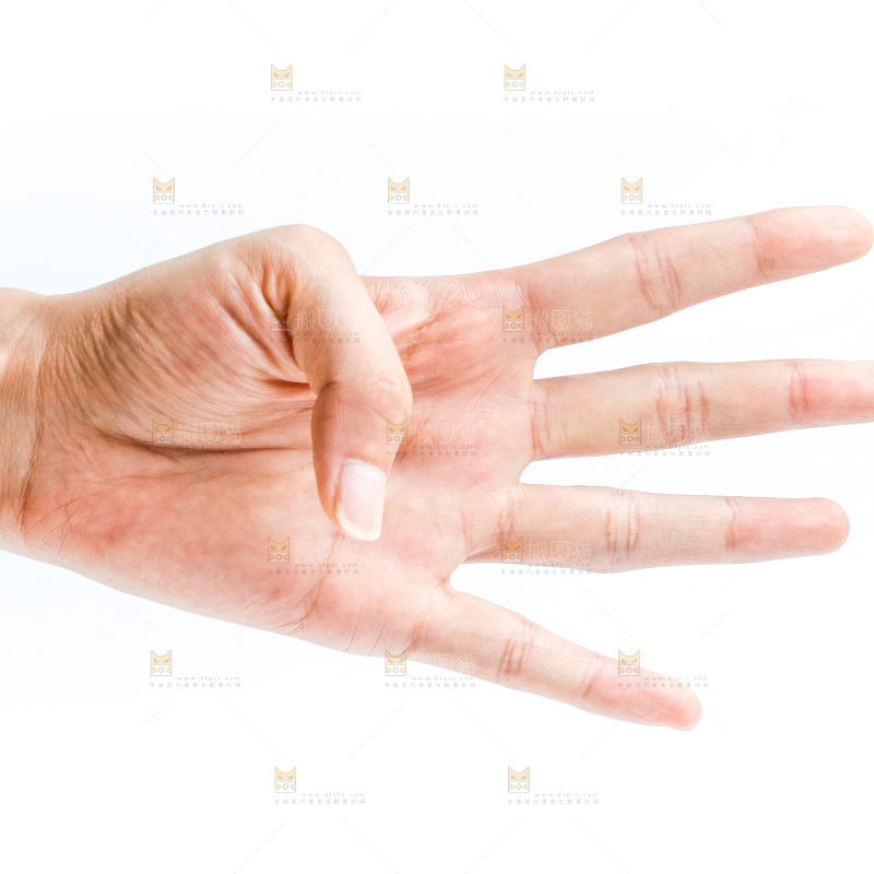 手的姿势