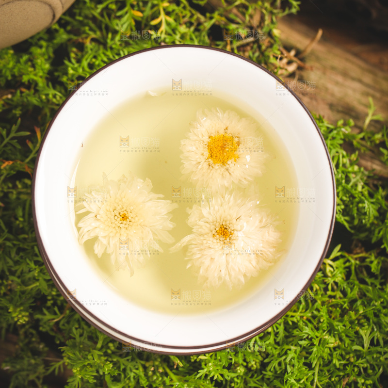 一杯杭白菊菊花茶