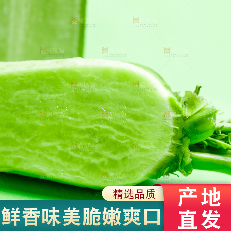 绿底上放着绿萝卜