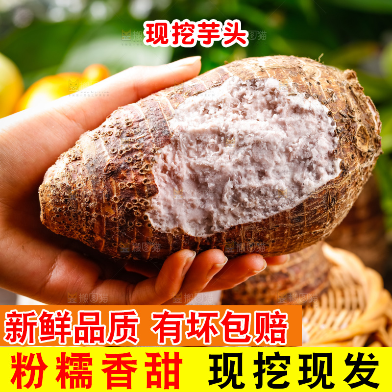 手上拿着一个荔浦芋头