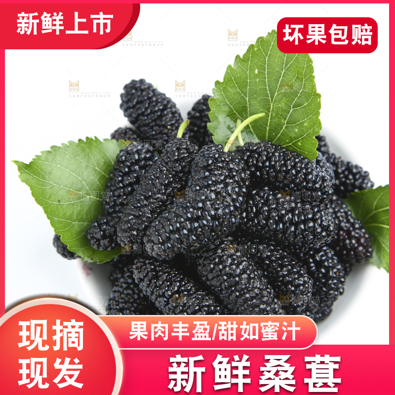 白底上放着一大盘桑葚