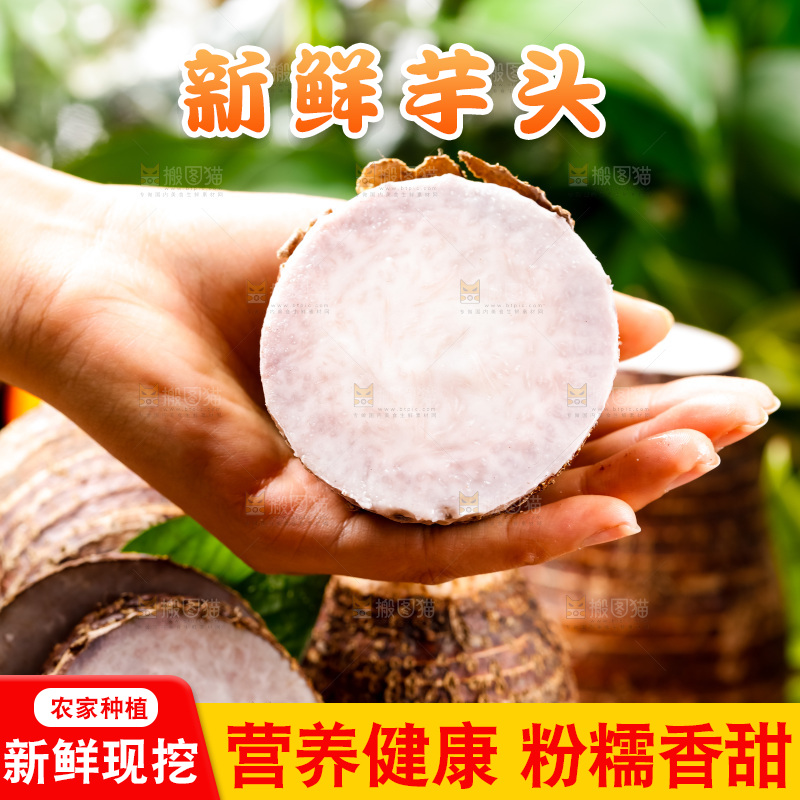 手上放着荔浦芋头