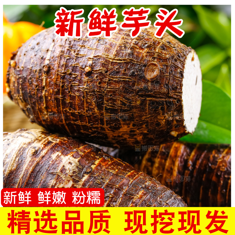 木底上放着广西荔浦芋头