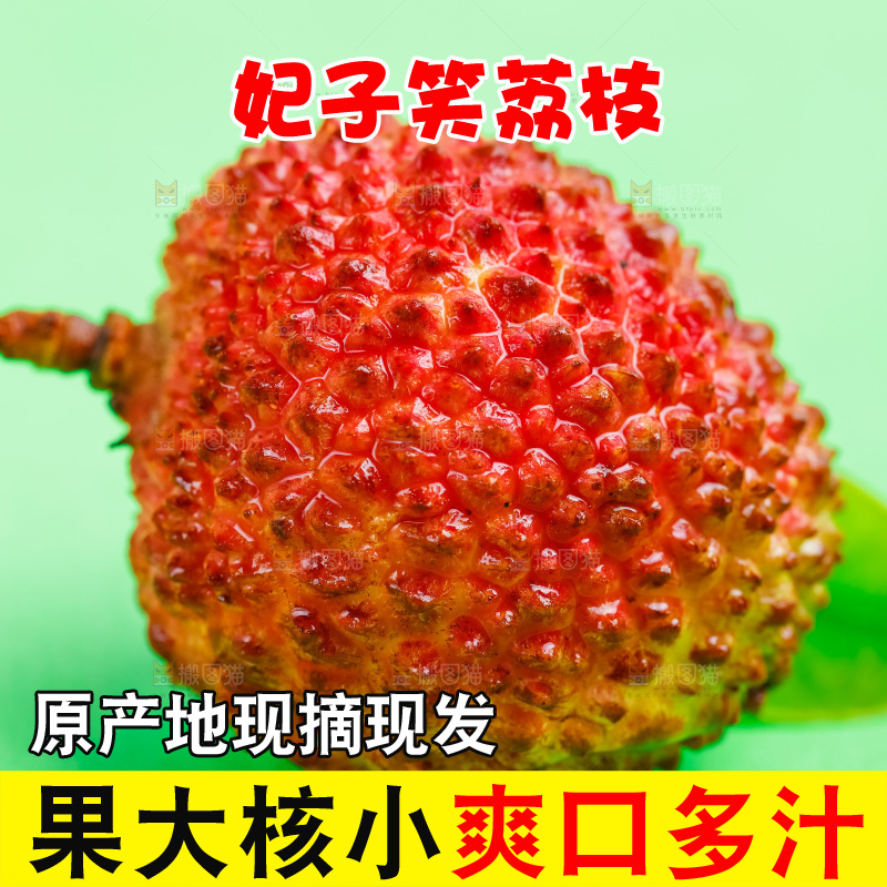 绿底上放着妃子笑荔枝